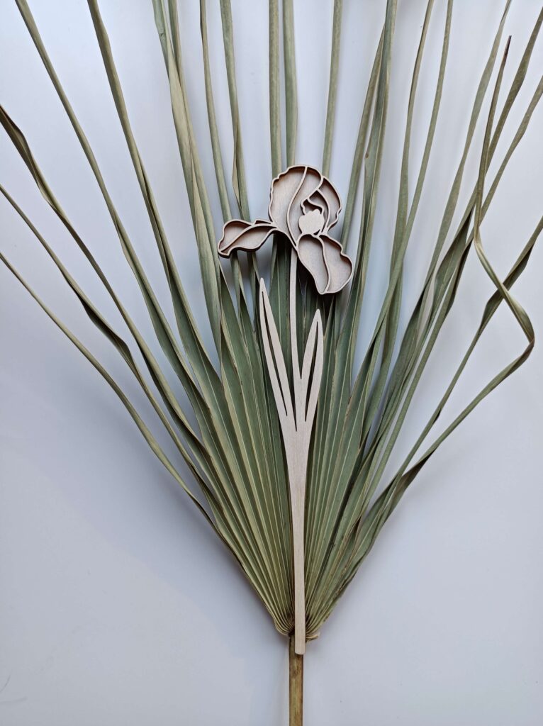 vanerikukka 11