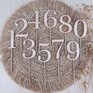 Numero-kakkukoriste